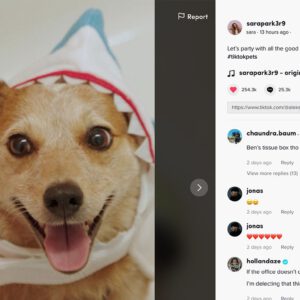 Dog tiktok.png