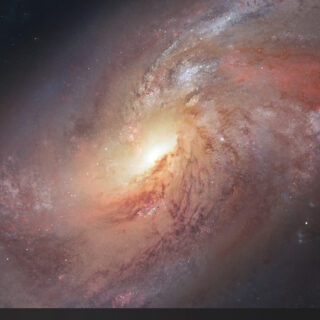 Download Wallpaper Engine for Windows 11 - WindowsMode.com