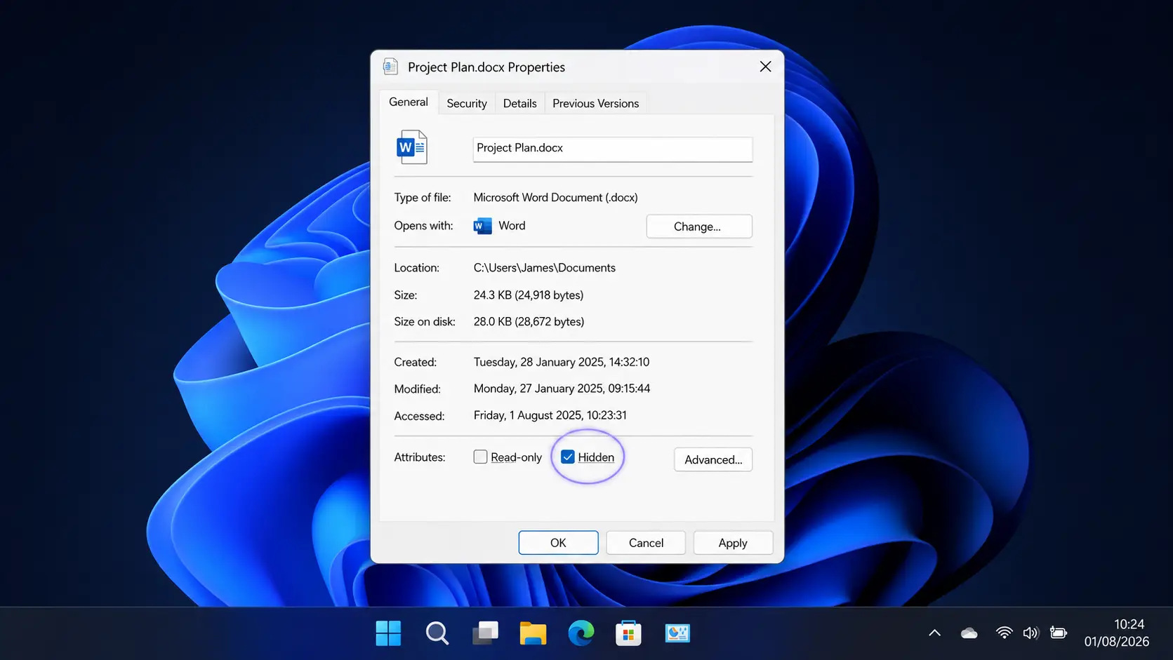 File Properties window on Windows 11 with the Hidden attribute checkbox ticked