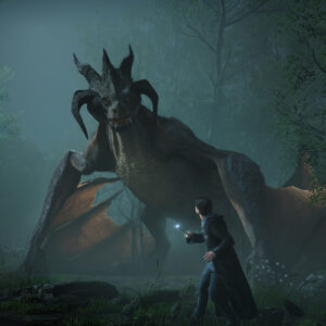 Fight dragons