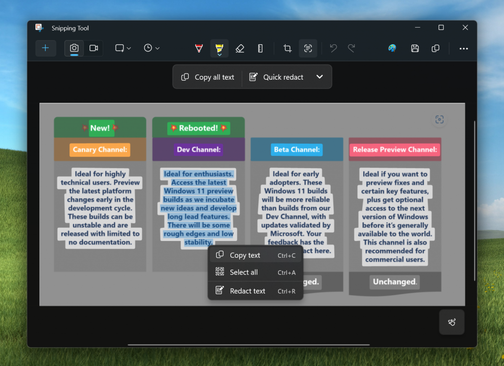 Snipping Tool showing selectable text in a screenshot.
