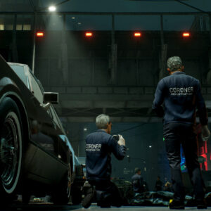 Investigators