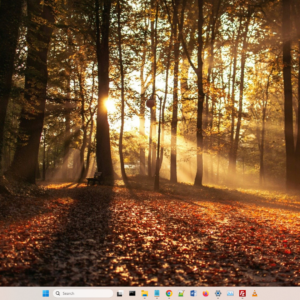 Screenshot of autumn theme