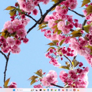 Screenshot spring theme