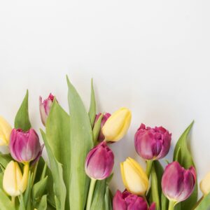Spring wallpaper 052