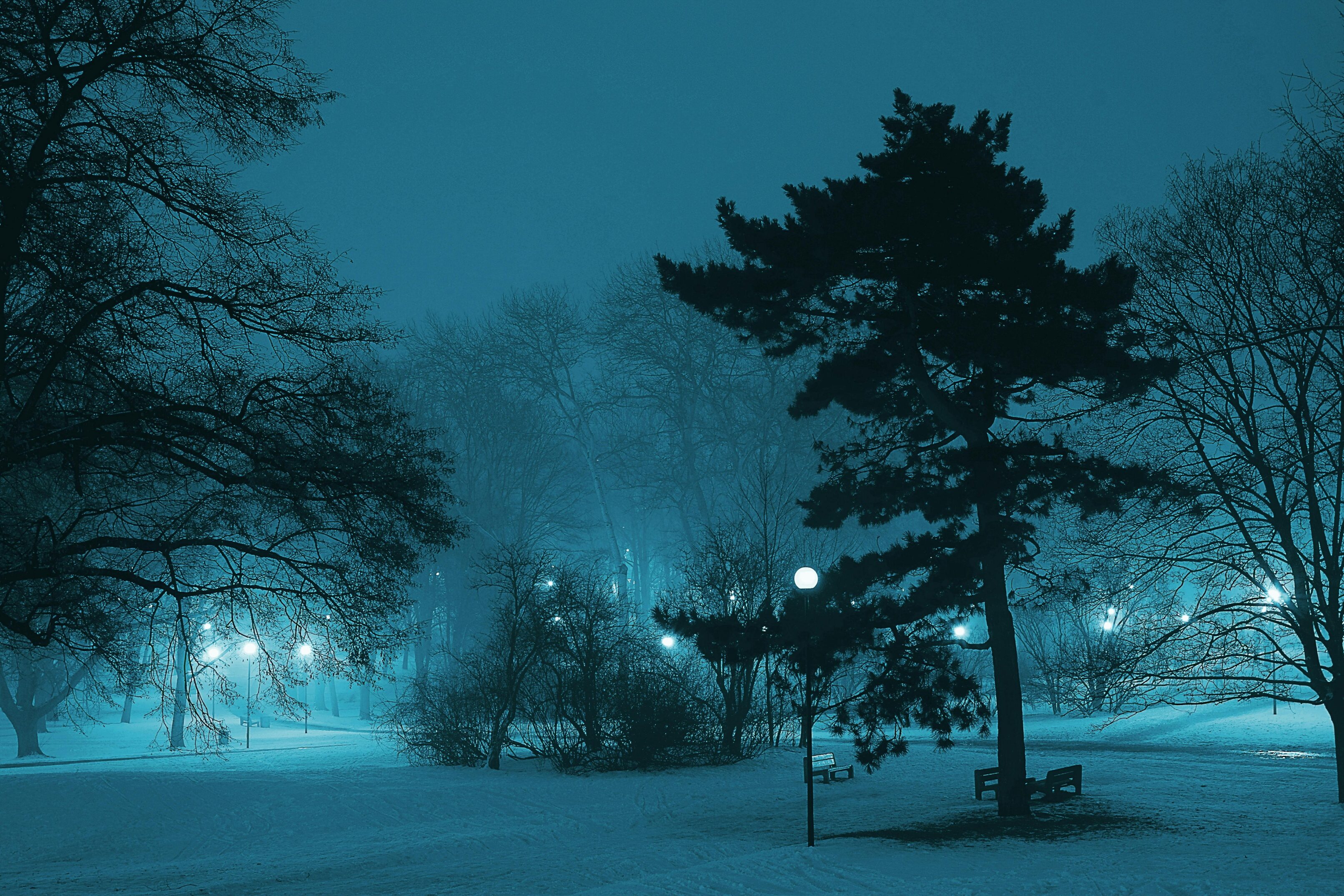 Winter wallpaper 052