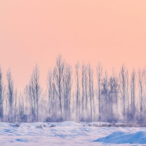 Winter wallpaper 061