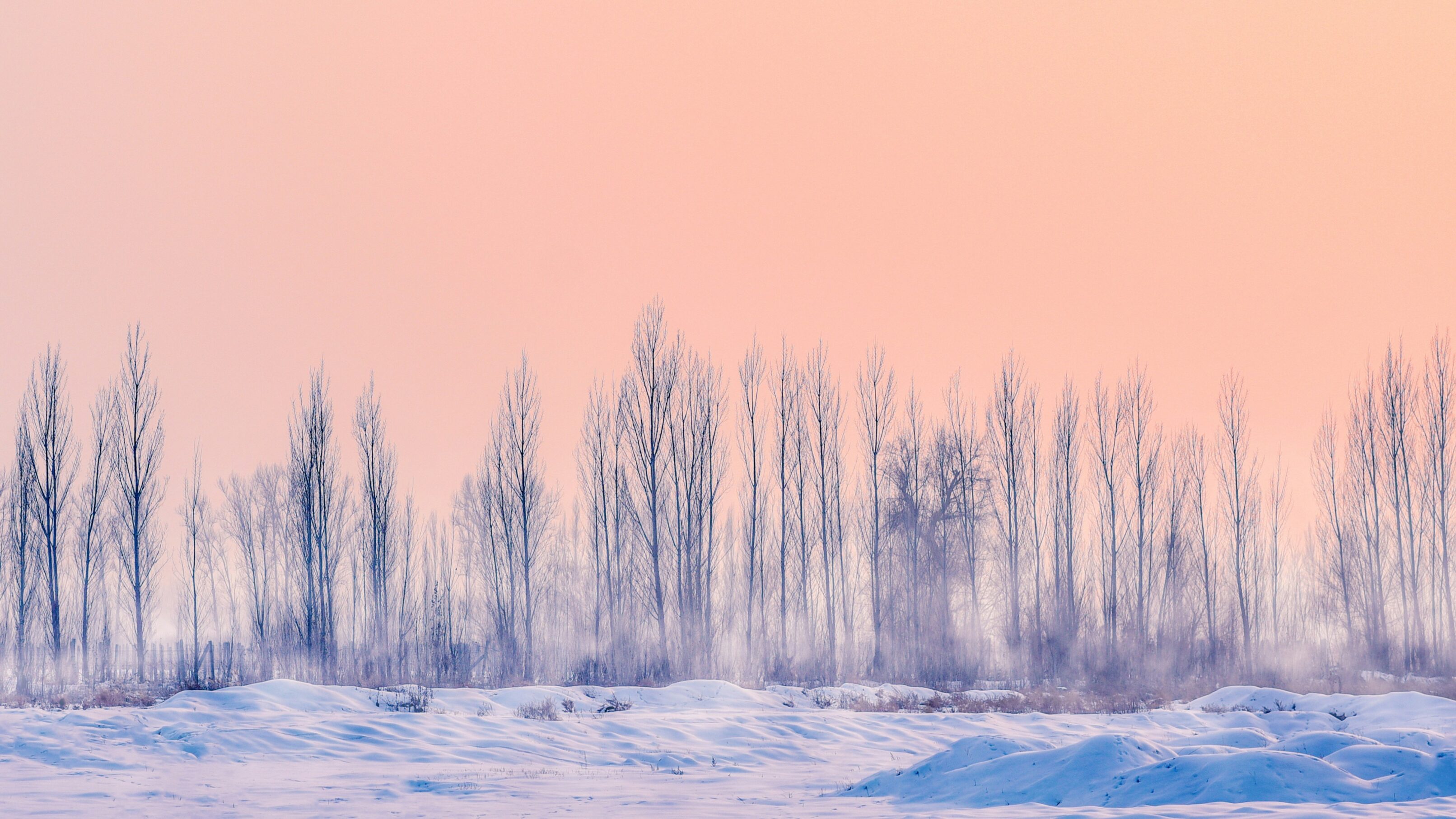 Winter wallpaper 061