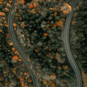 Aerial forest autumn curves