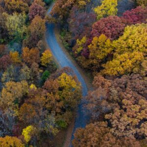 Aerial view autumn road