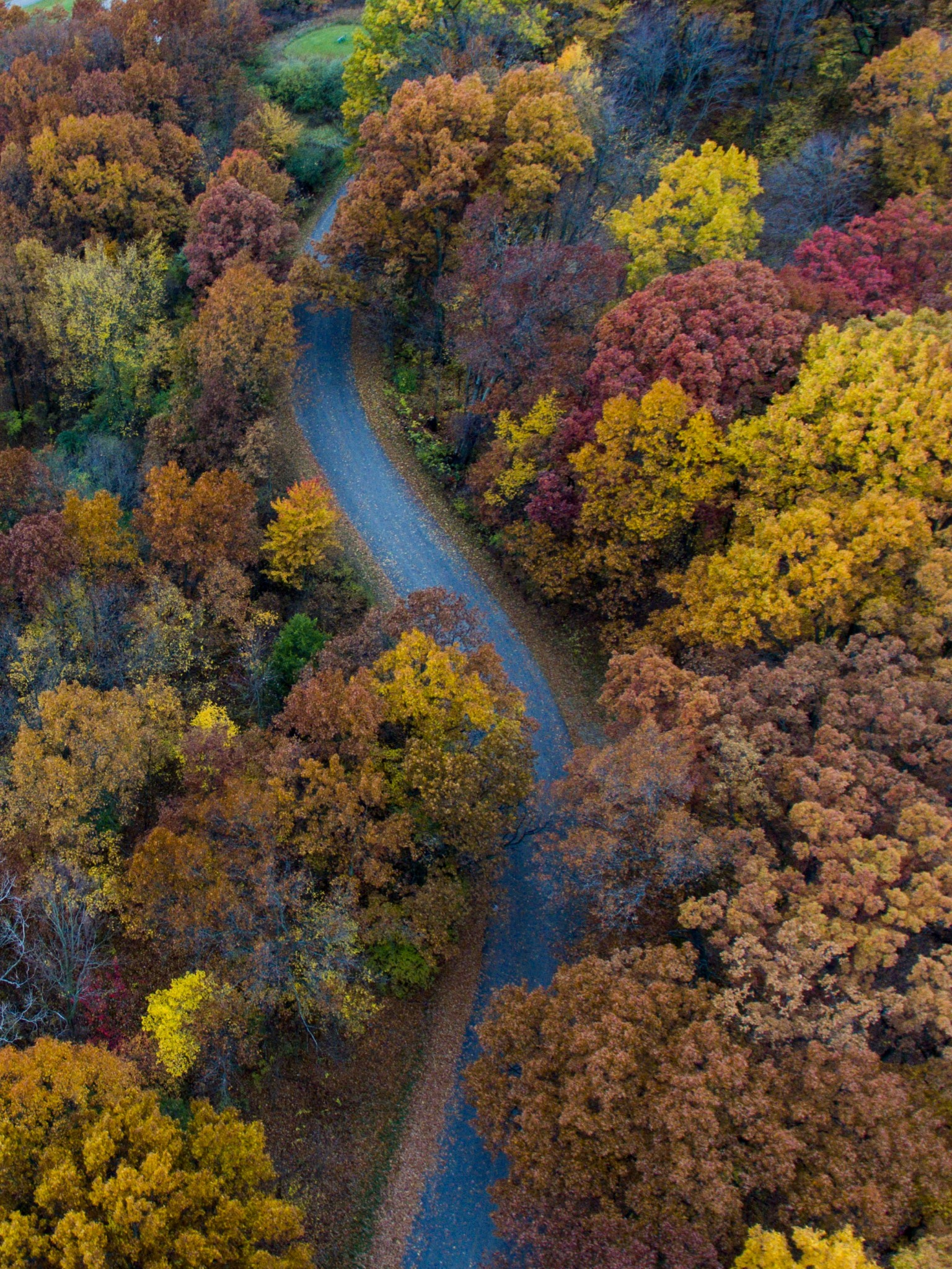 Aerial view autumn road