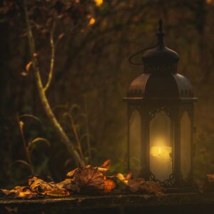 Autumn lantern fallen leaves