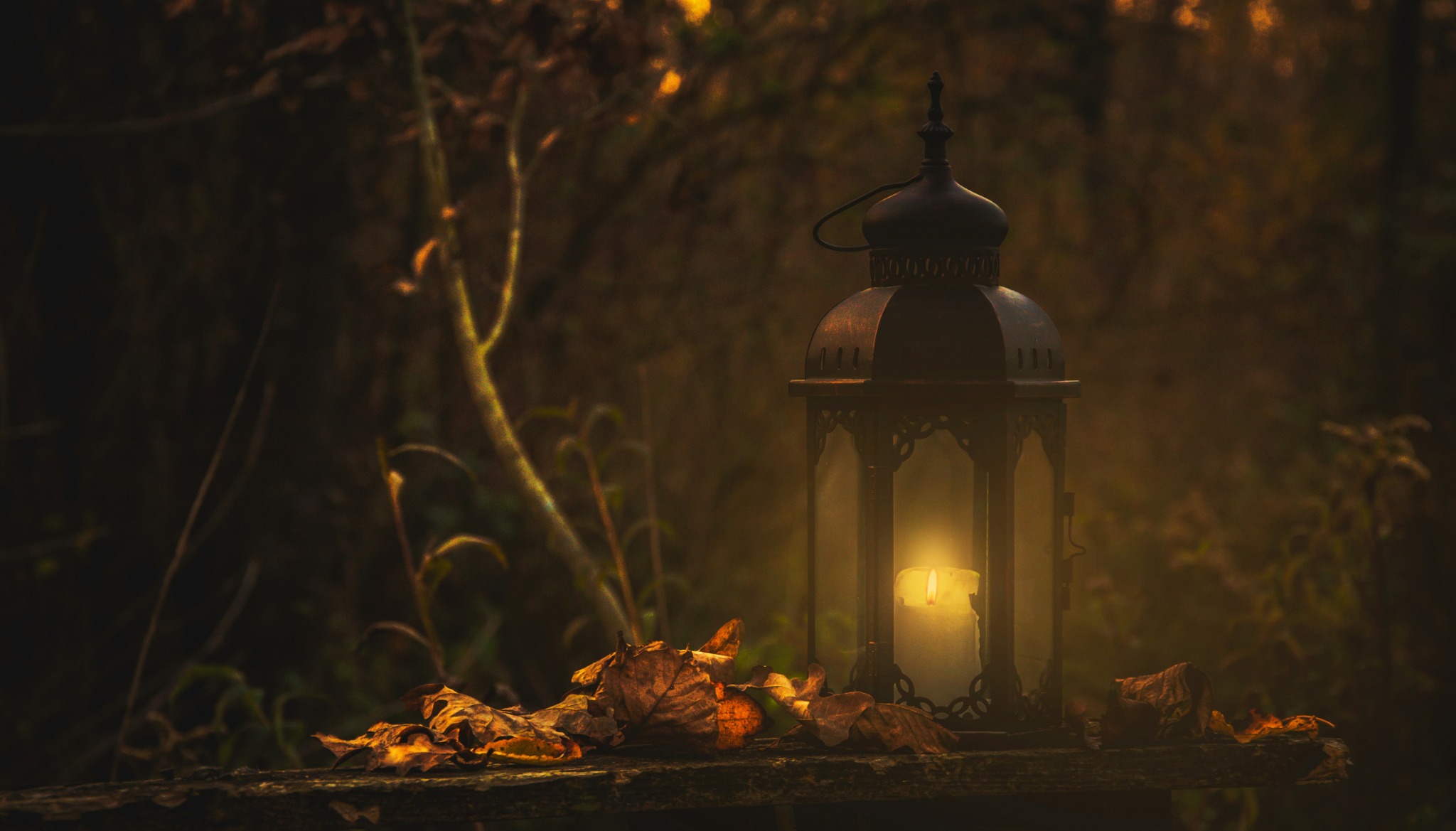 Autumn lantern fallen leaves