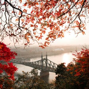 Autumn leaves bridge view