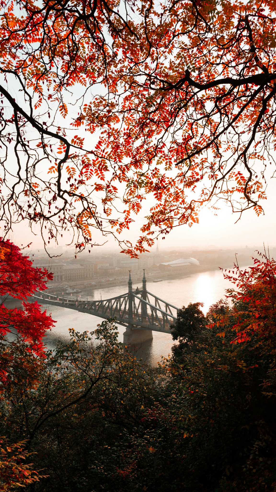 Autumn leaves bridge view