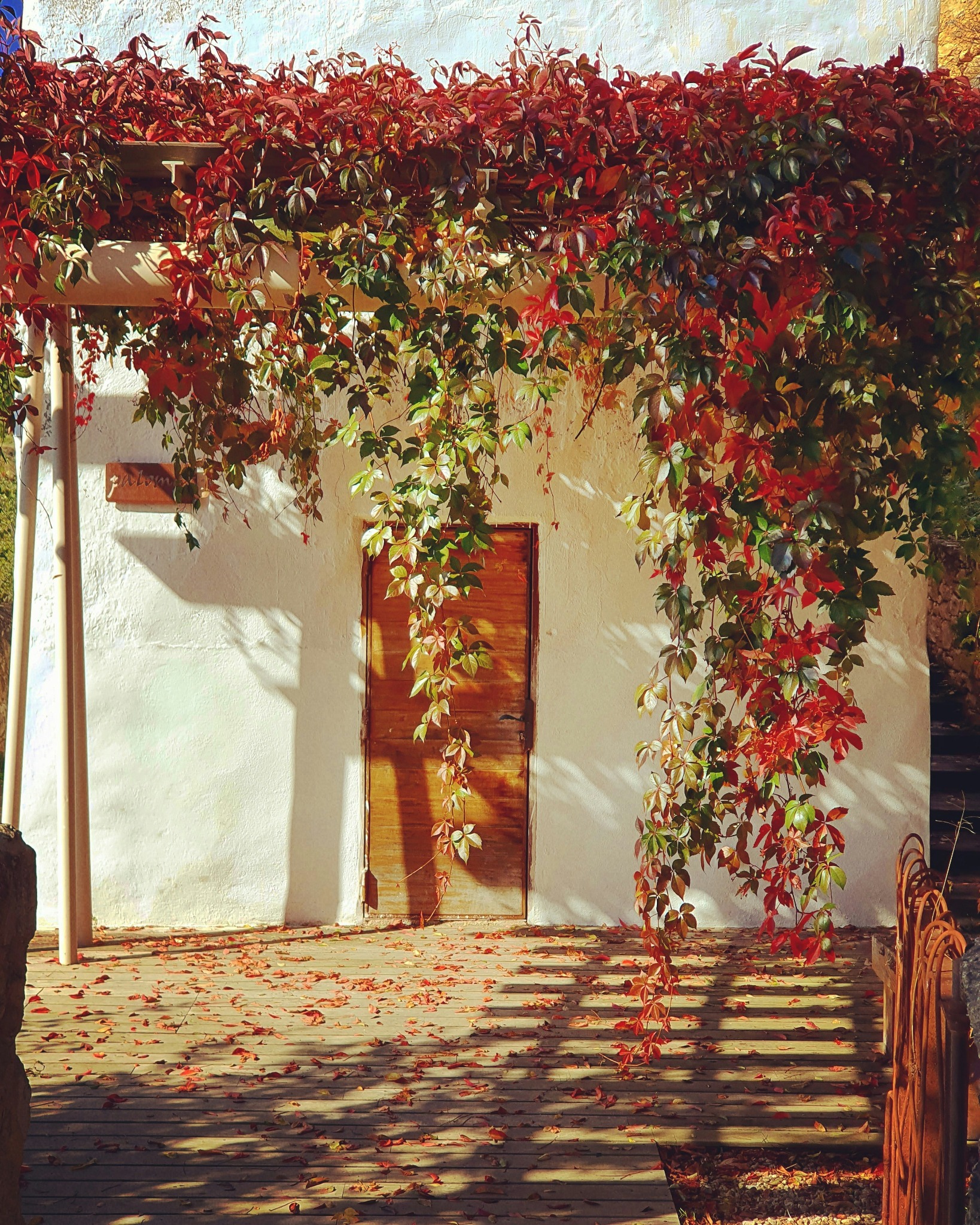 Autumn leaves covered patio