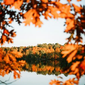 Autumn leaves framing lake