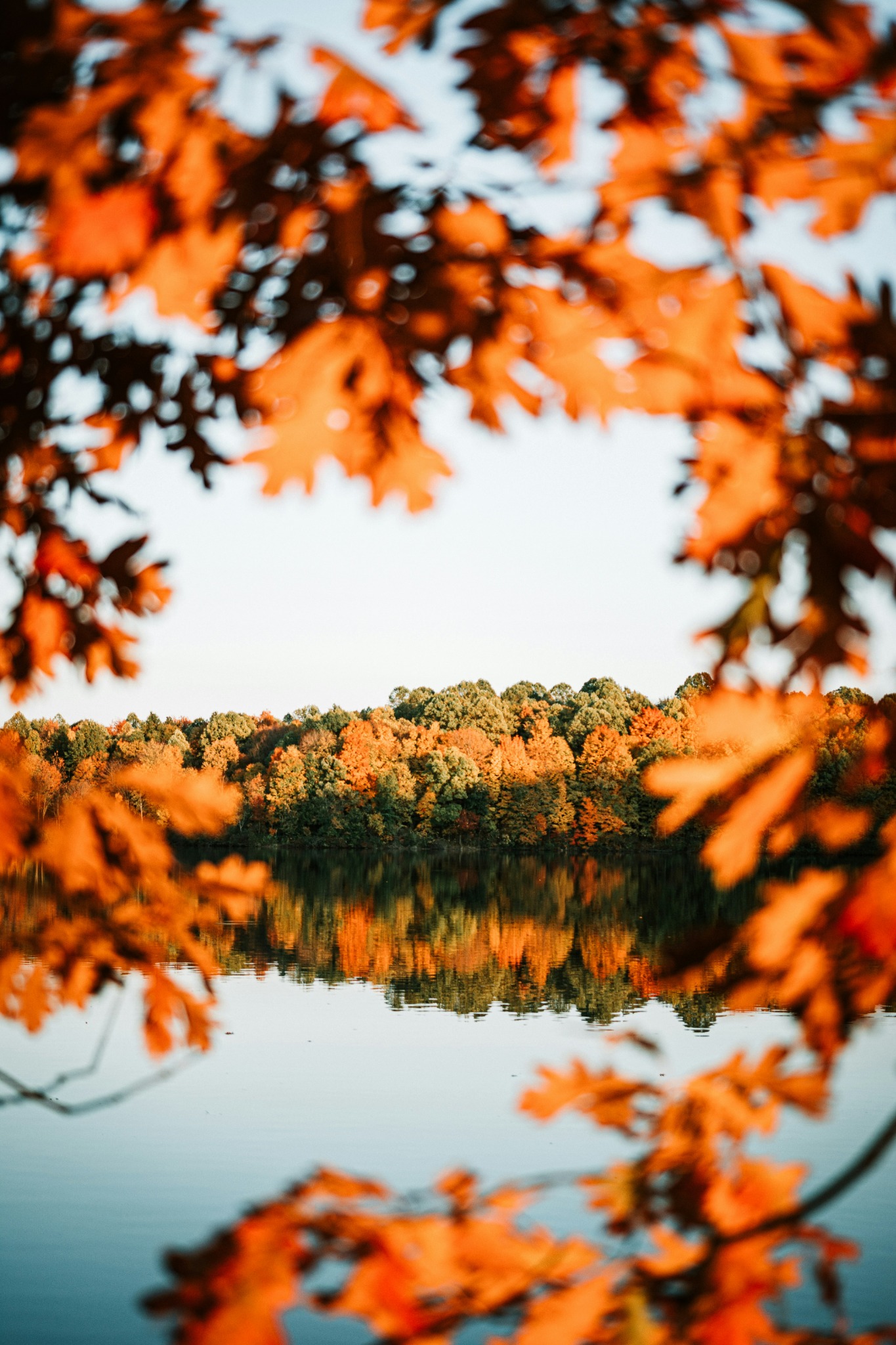 Autumn leaves framing lake