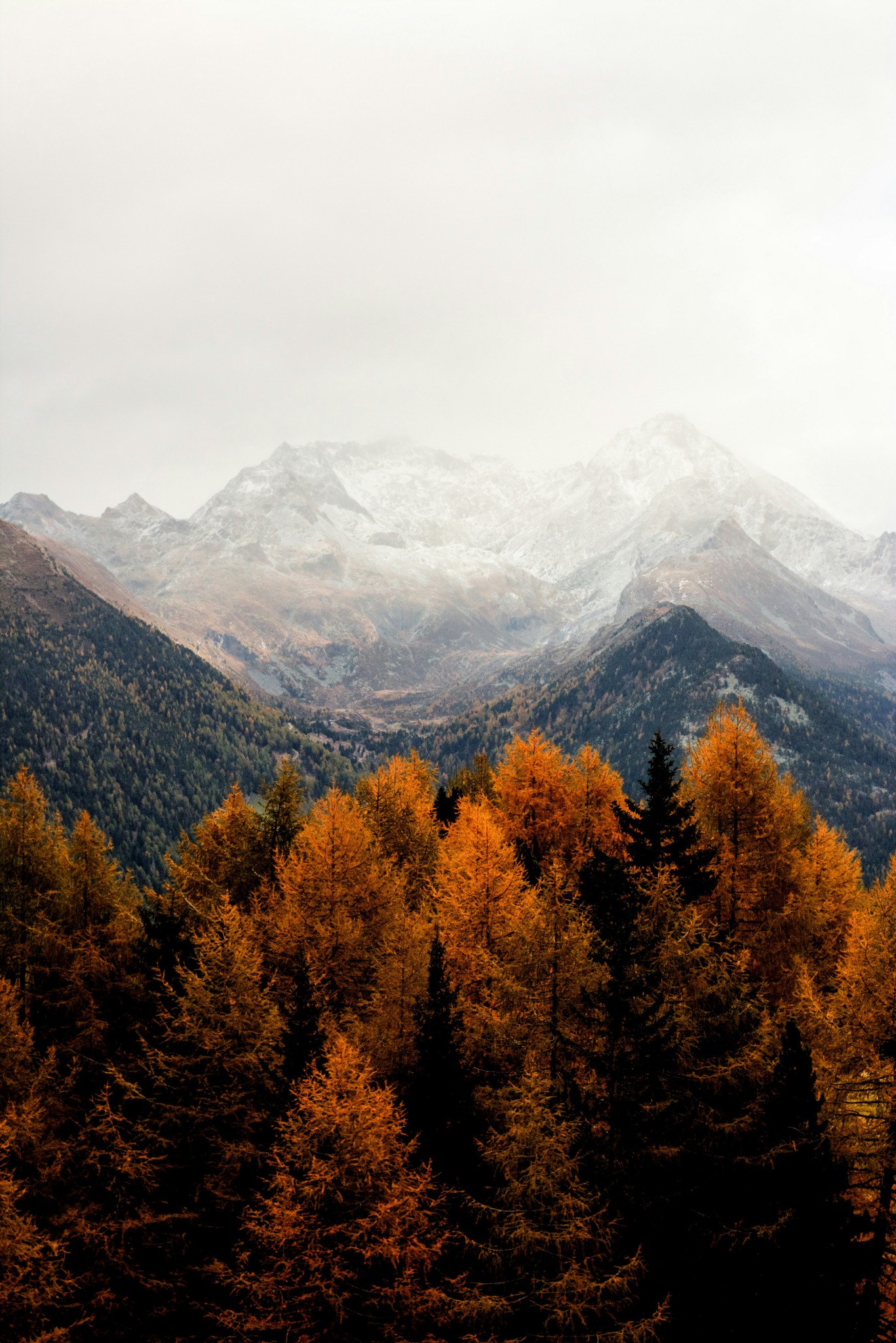 Autumn mountains trees