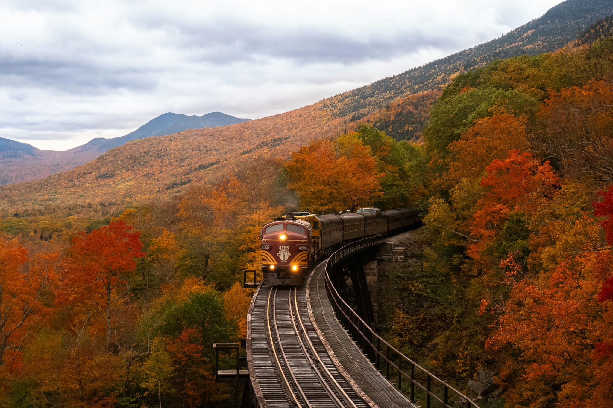 Autumn train bridge