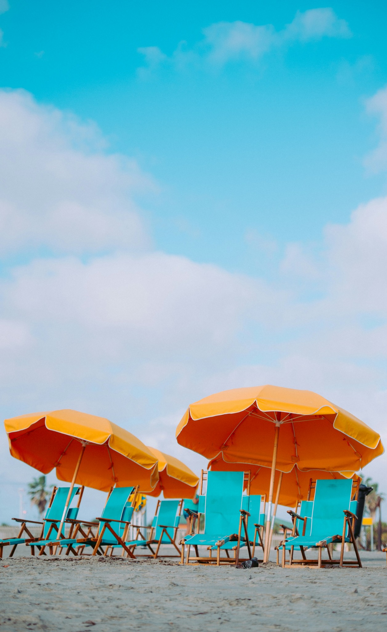 Beach chairs under orange umbrellas
