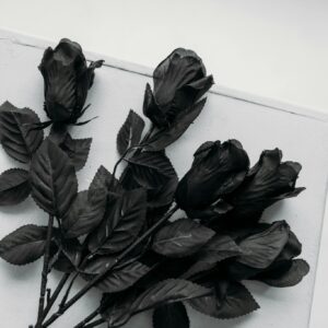 Black roses white background