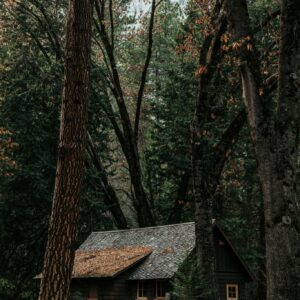 Cabin in autumn woods