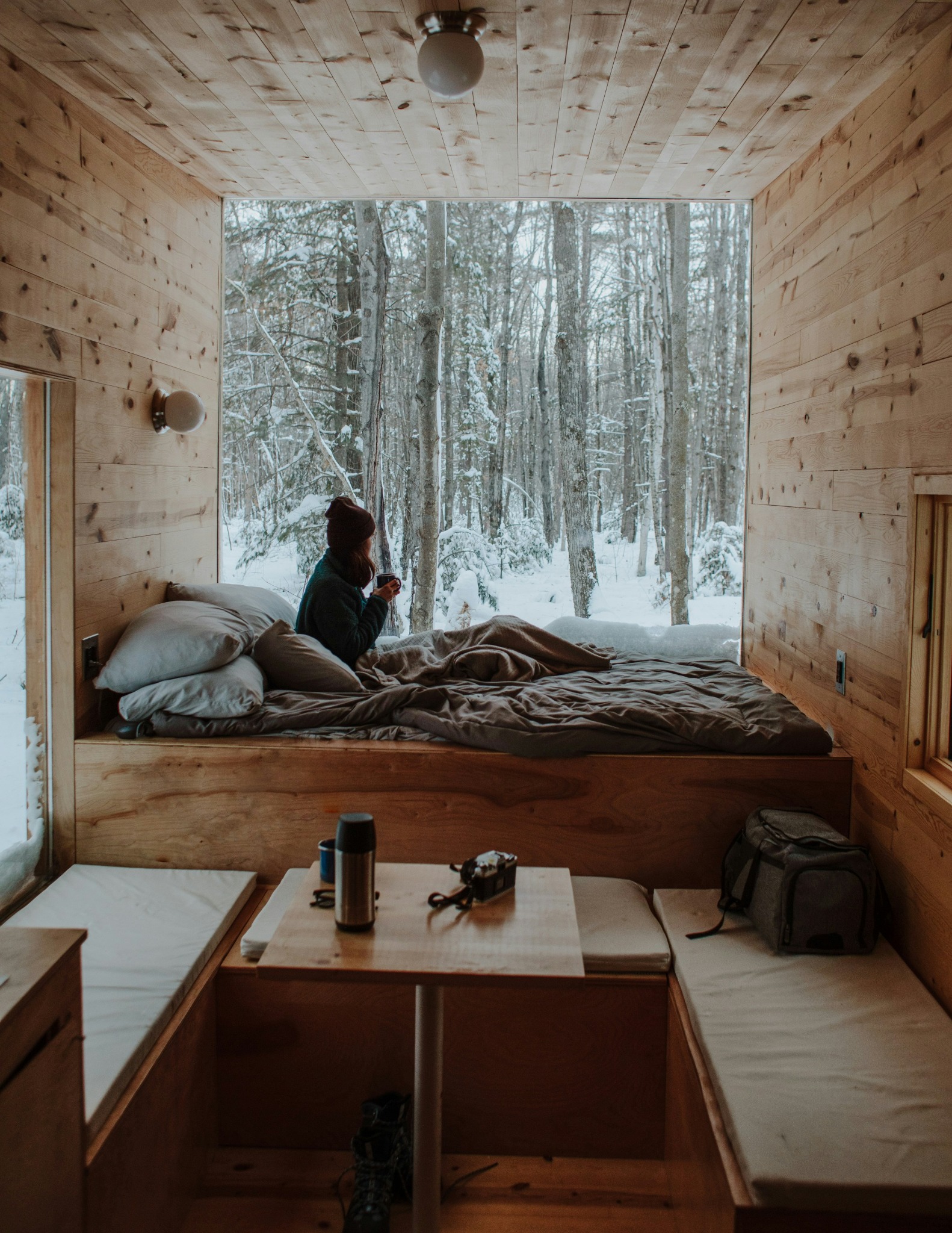 Cabin interior forest view winter