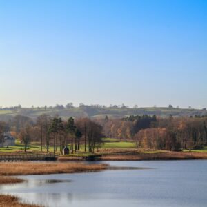 Calm lake autumn landscape