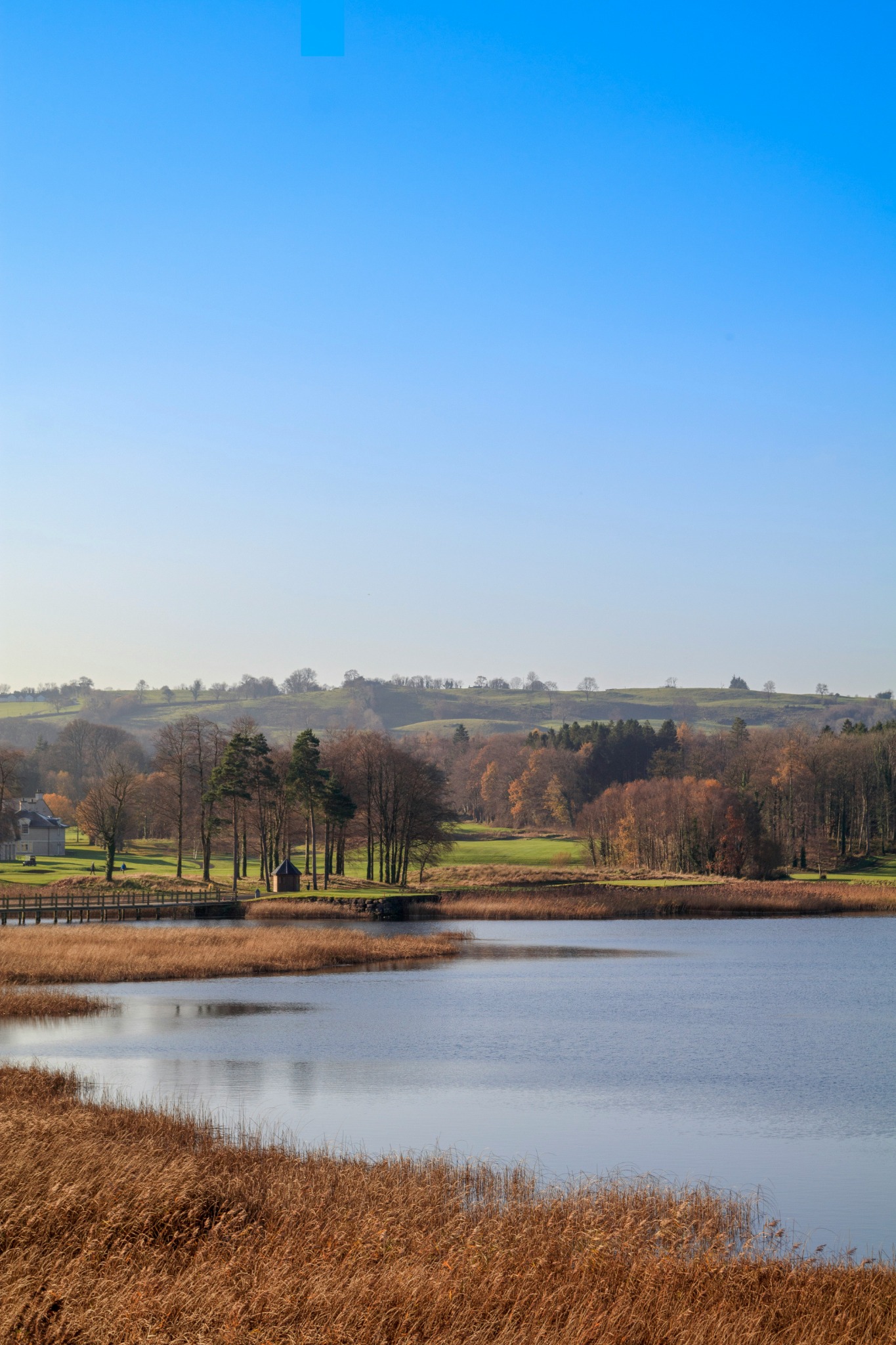 Calm lake autumn landscape