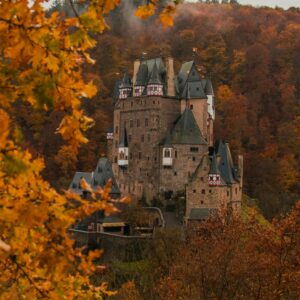 Castle surrounded by autumn trees