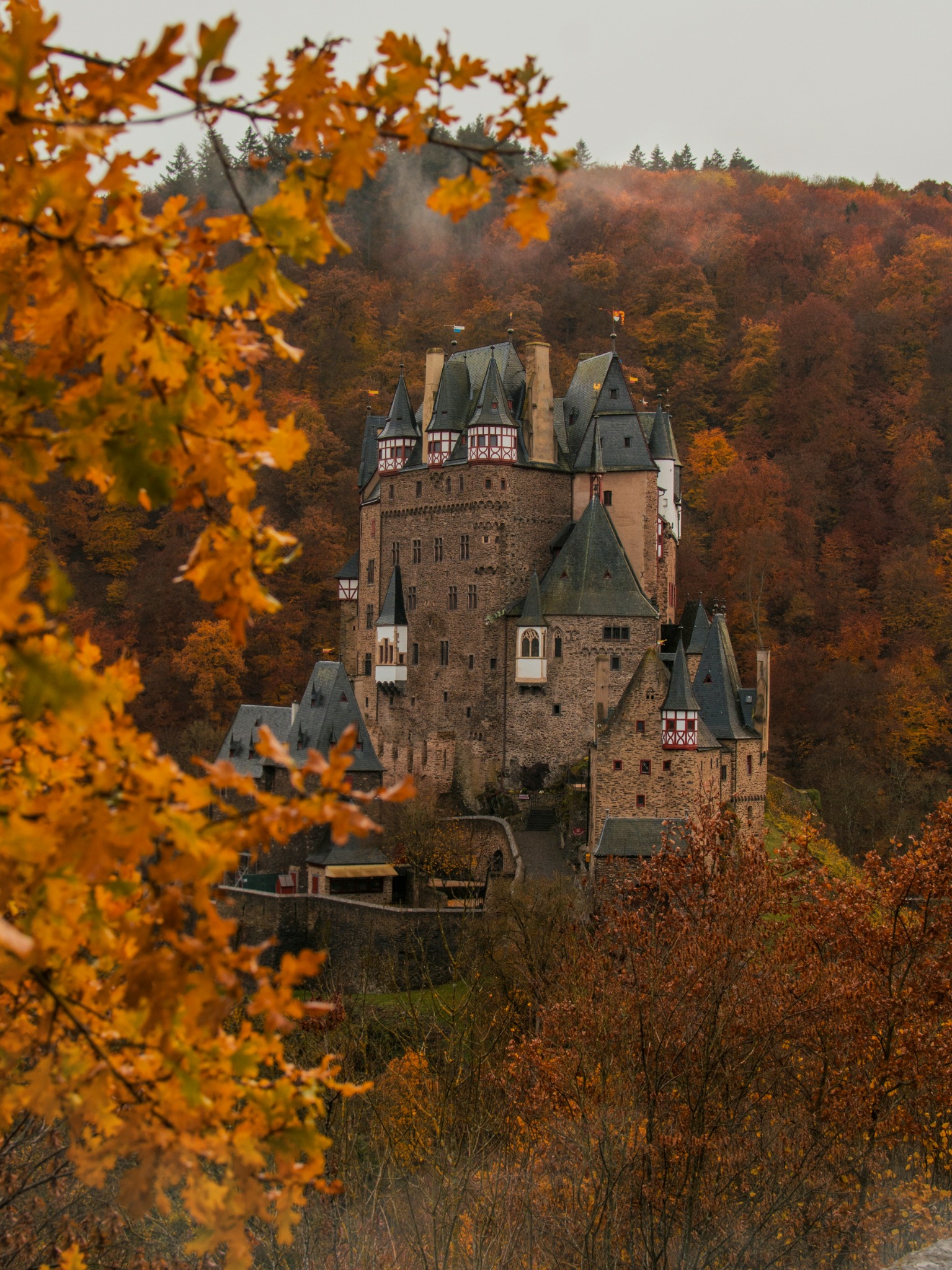 Castle surrounded by autumn trees