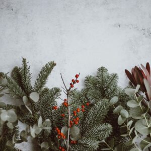 Christmas foliage berries eucalyptus concrete background