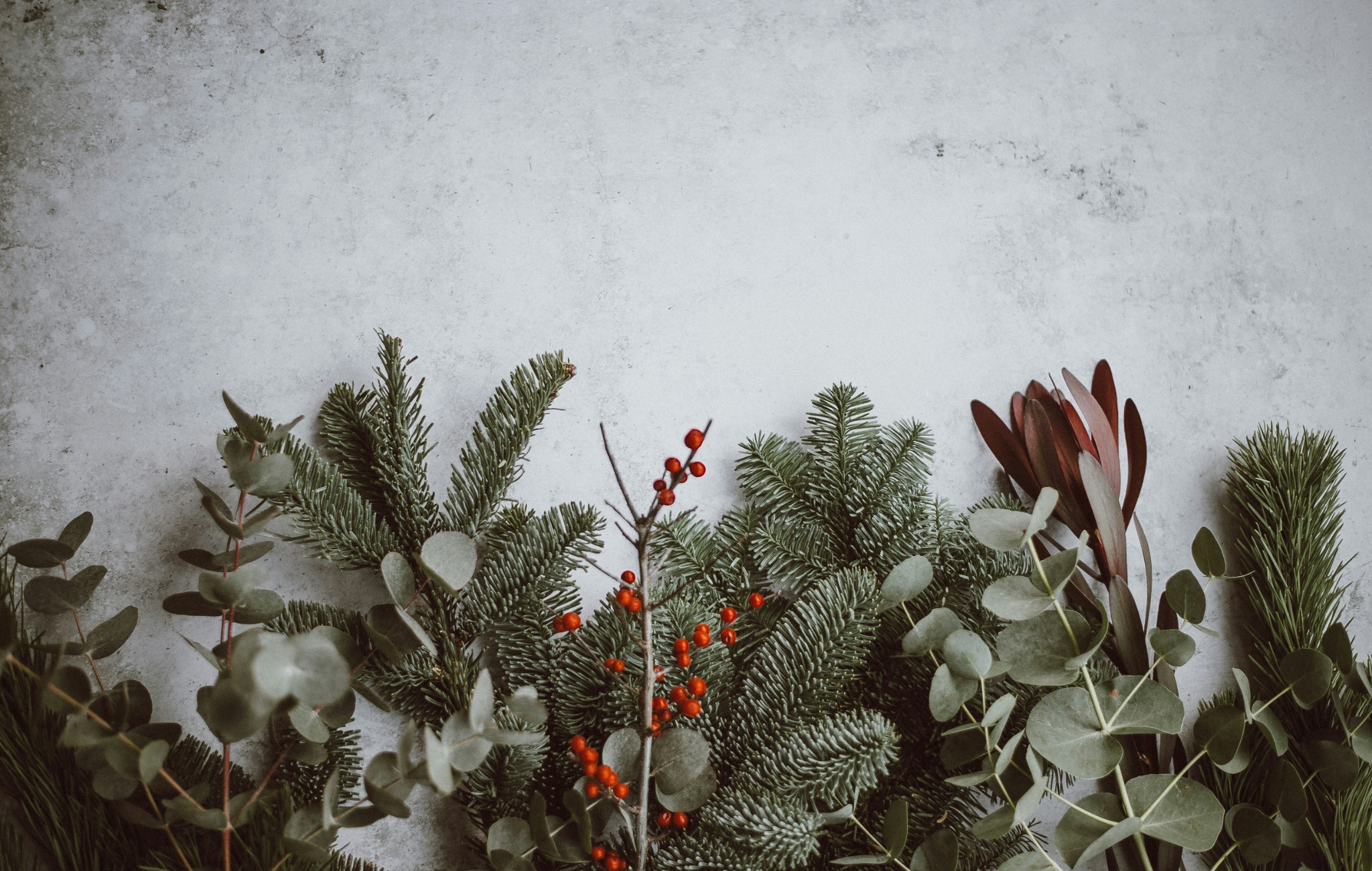 Christmas foliage berries eucalyptus concrete background