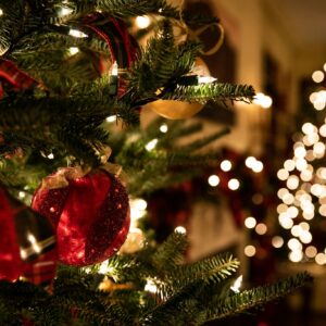 Christmas tree and bokeh lights