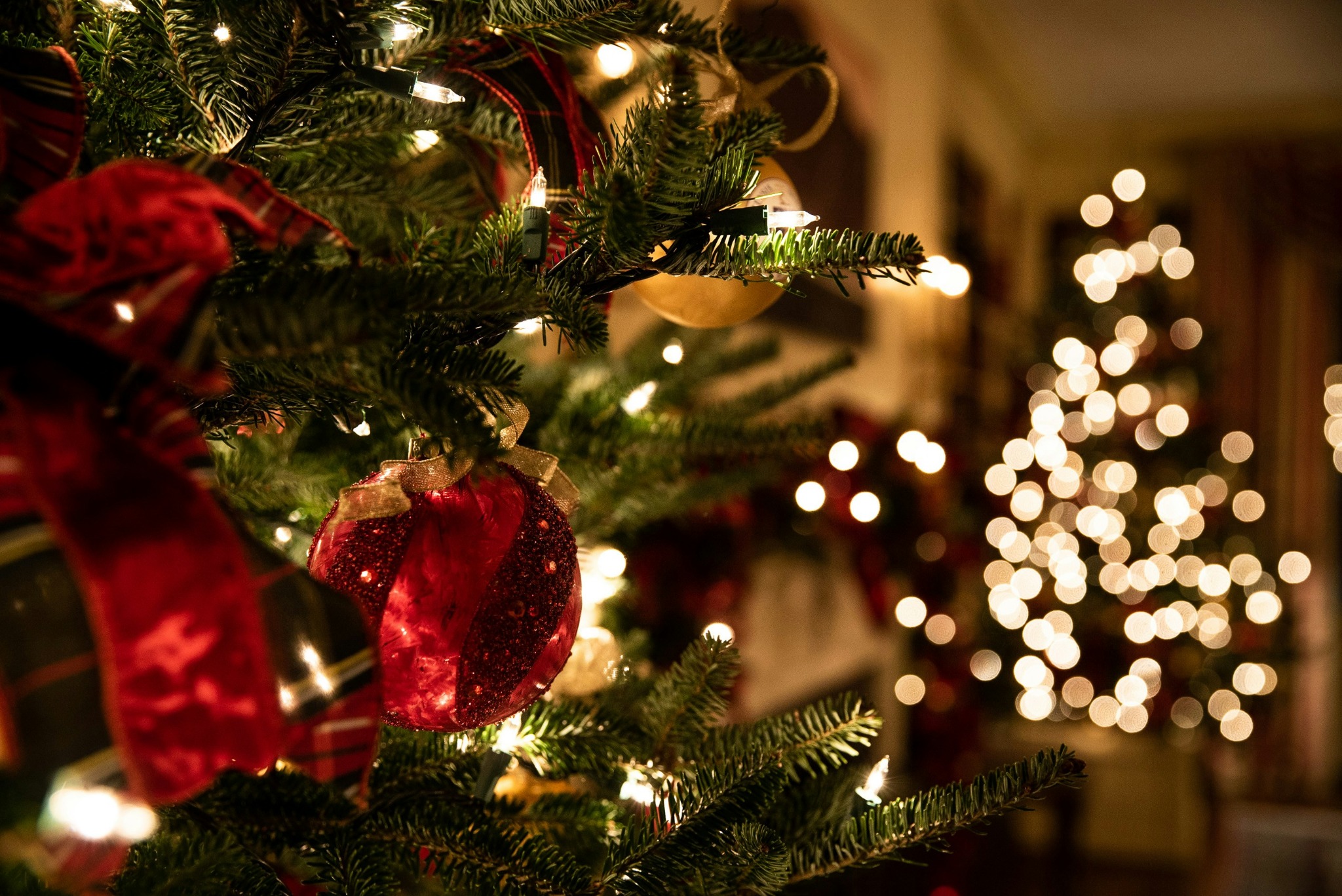 Christmas tree and bokeh lights