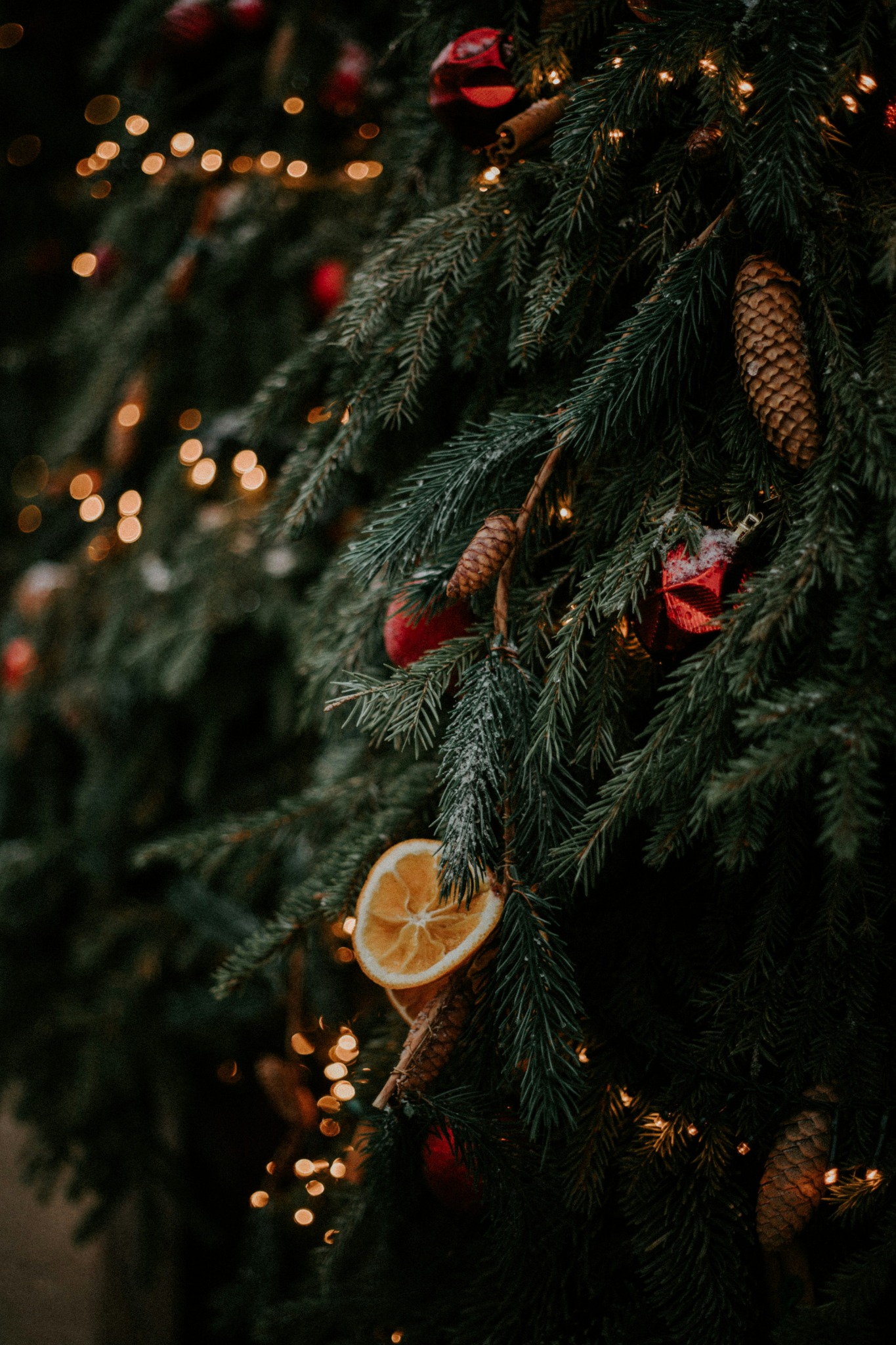 Christmas tree ornaments lights pine cones