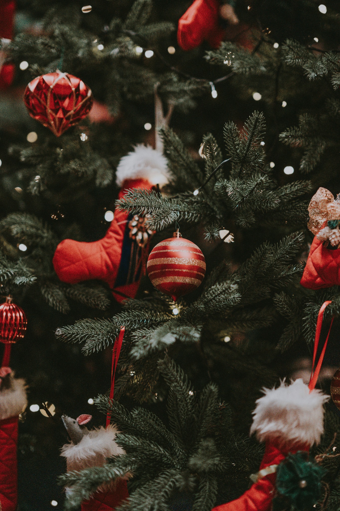 Christmas tree red socks golden baubles