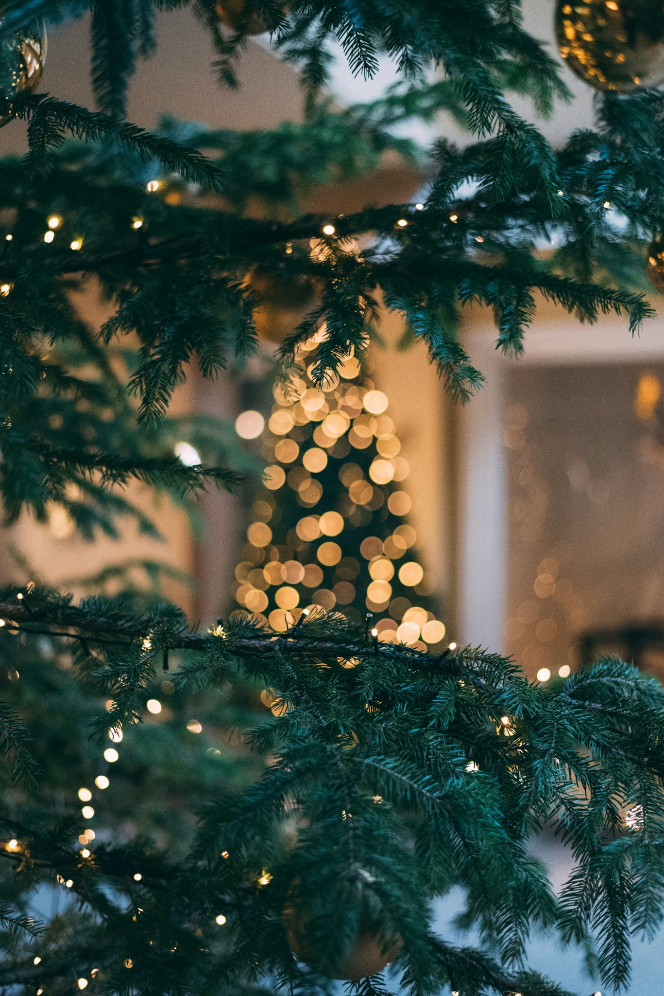 Christmas tree with golden lights bokeh