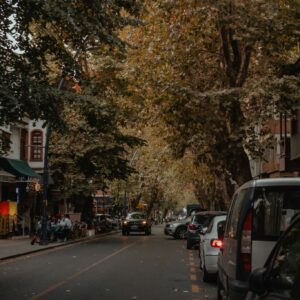 City street autumn trees parked cars