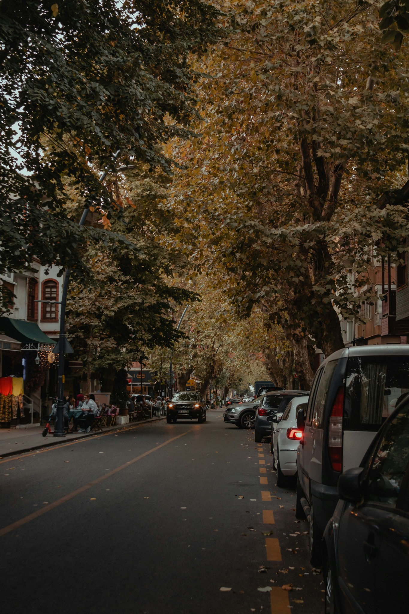 City street autumn trees parked cars