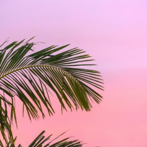 Colorful beach balloons