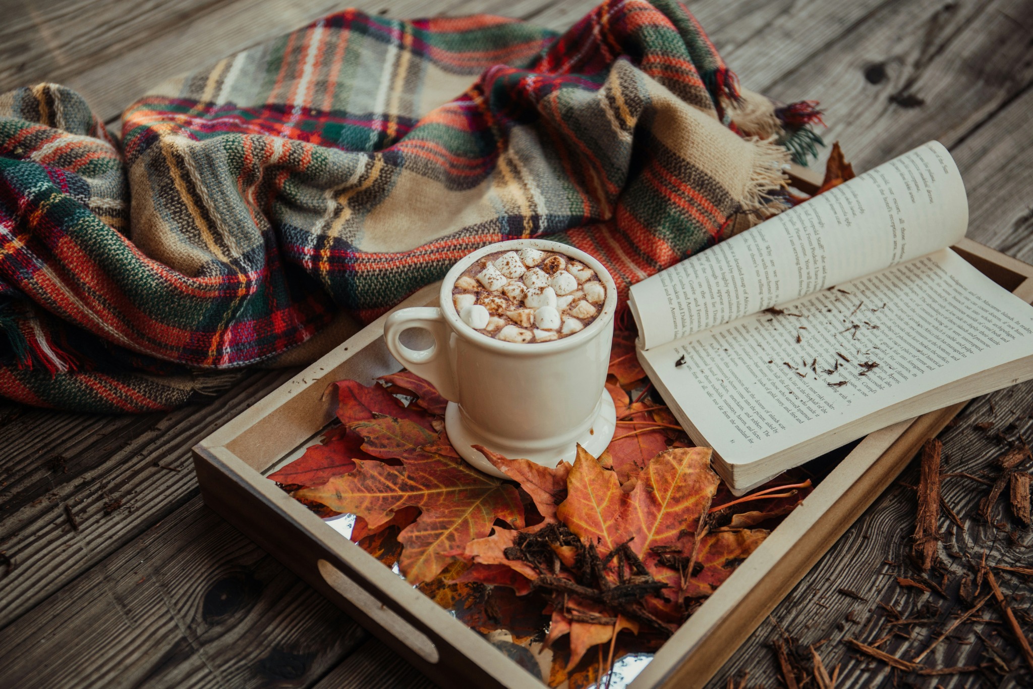 Cozy autumn reading