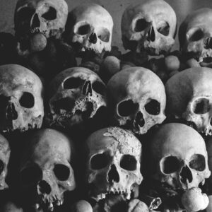 Creepy skulls black and white