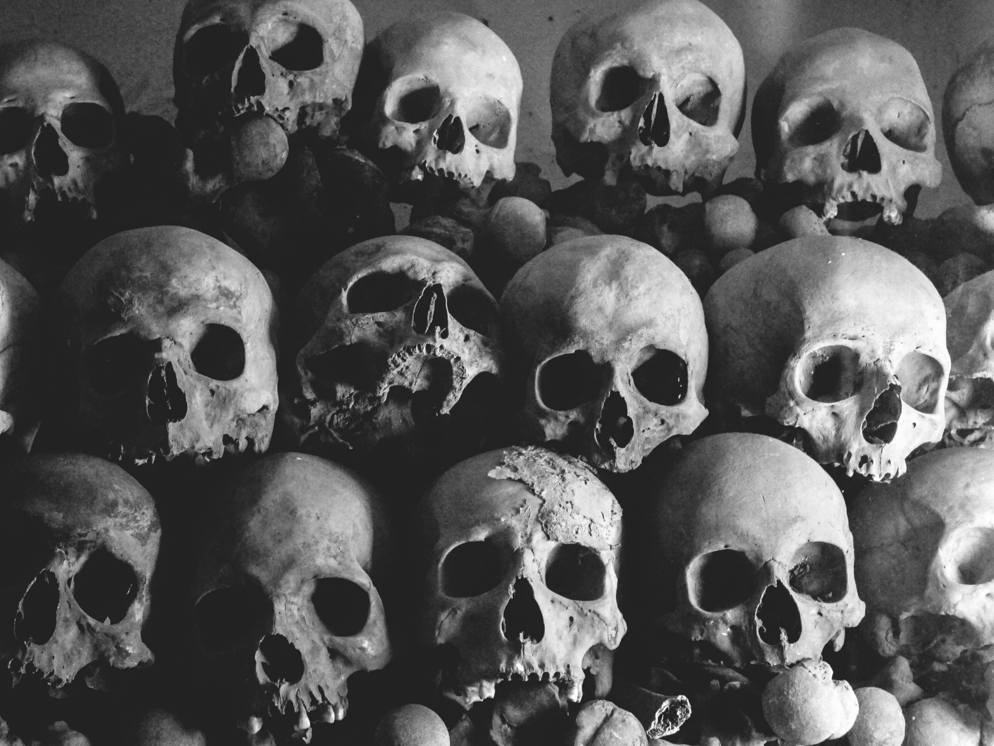 Creepy skulls black and white