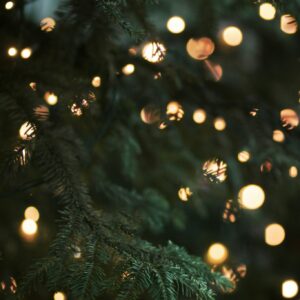 Dark christmas tree with lights