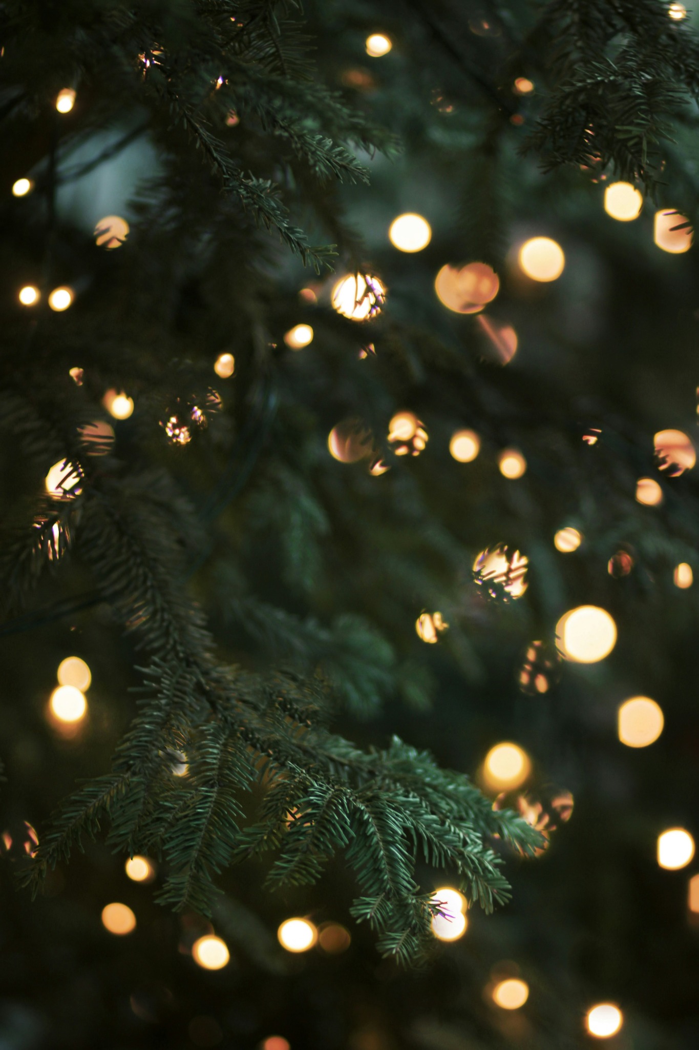 Dark christmas tree with lights