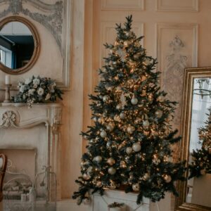Elegant christmas tree living room