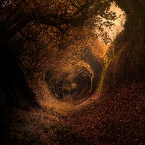 Enchanted autumn tunnel