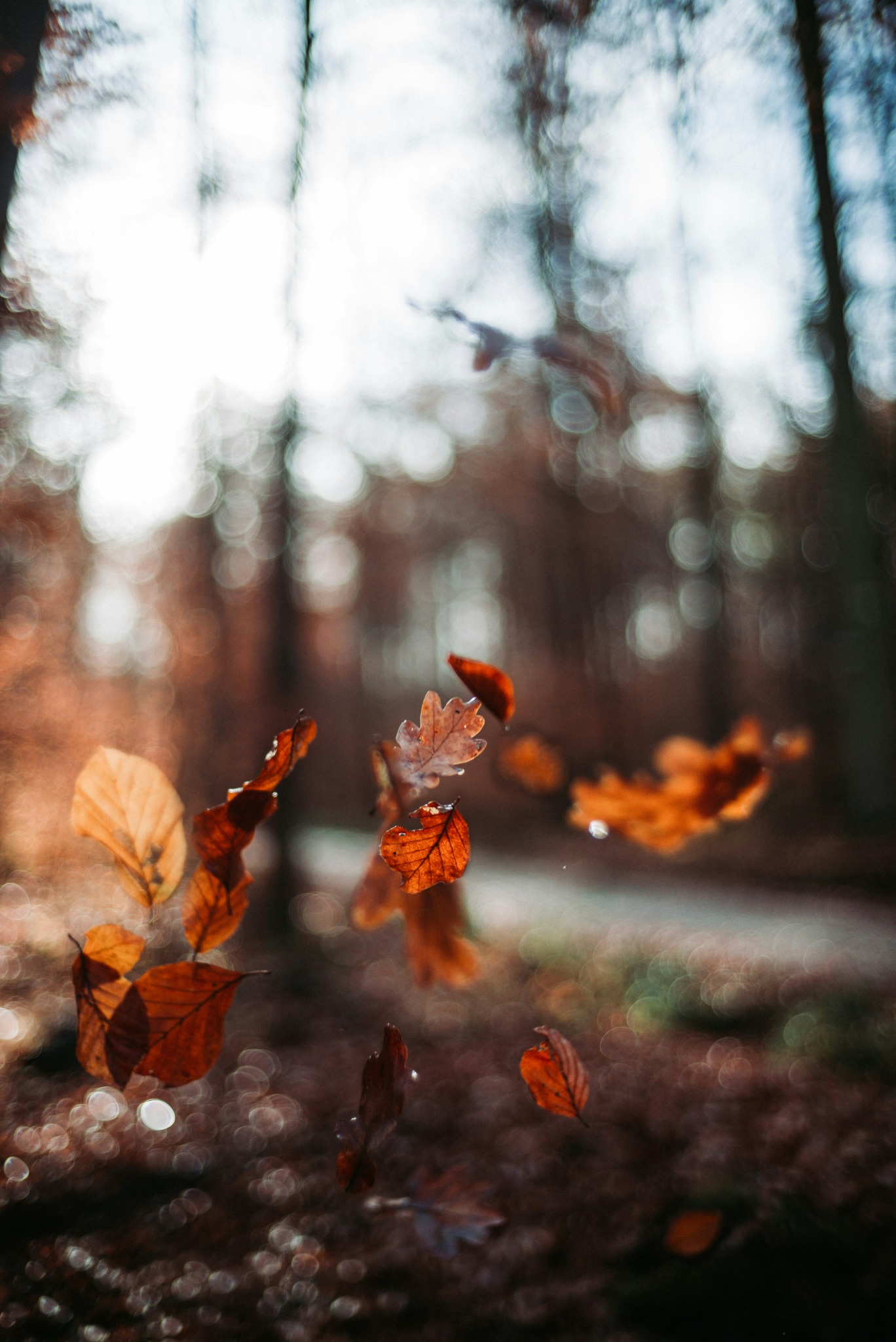 Falling leaves blur